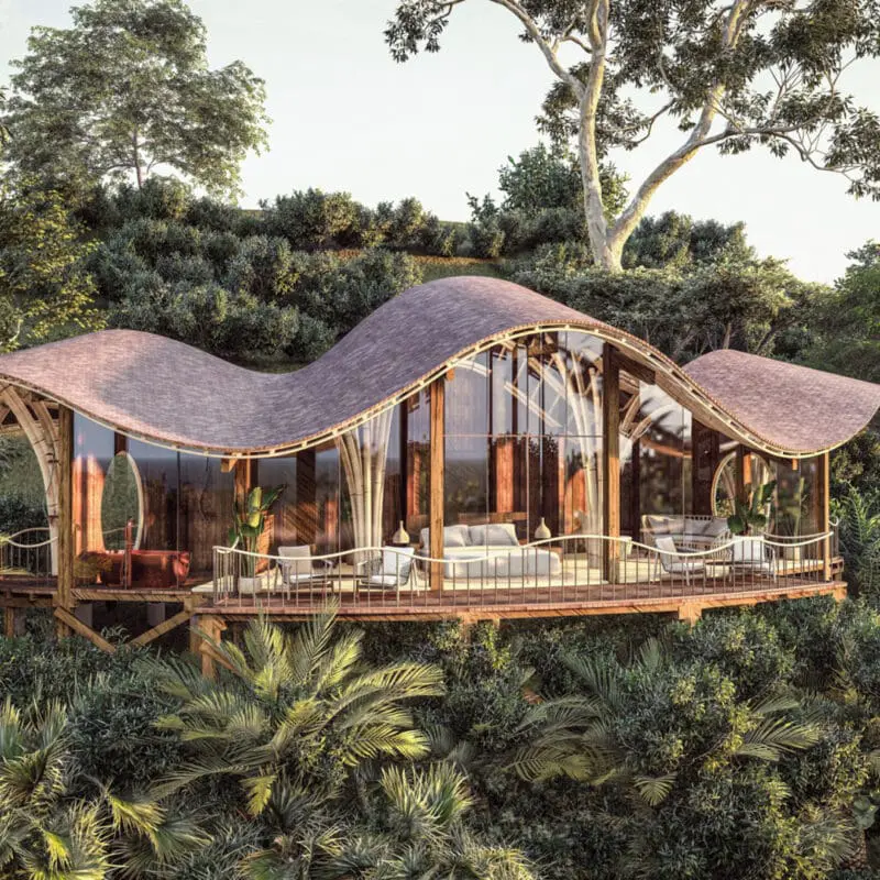 Luxury Forest Camp